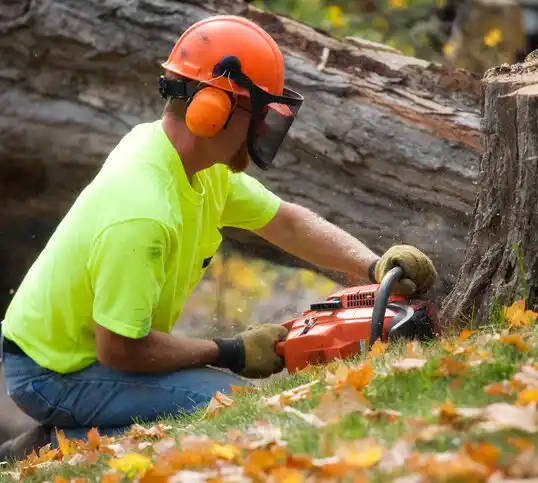 tree services Slater